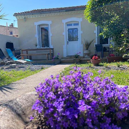 Charmante Maison Climatisee Avec Piscine Au Calme A Carcassonne Buitenkant foto